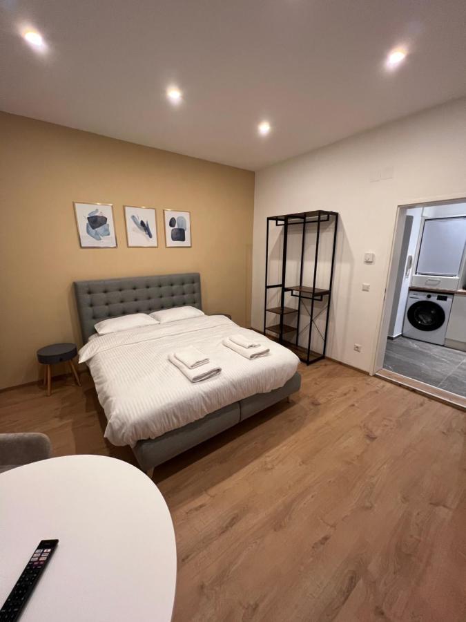 Near Metro & Netflix Appartement Vienne